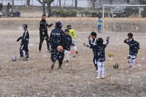 c_490Ud018svcntpv5gejakax_es599j